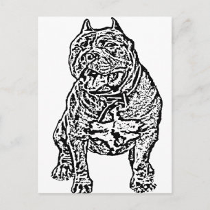 Amerikaanse Bully Dog Briefkaart