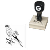 Amerikaanse cartoon 	rubberstempel (Gestempeld)