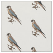 Amerikaanse cartoon stof (Close Up)