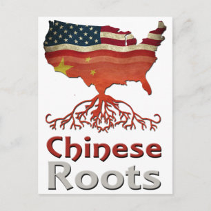 Amerikaanse Chinese wortels Briefkaart