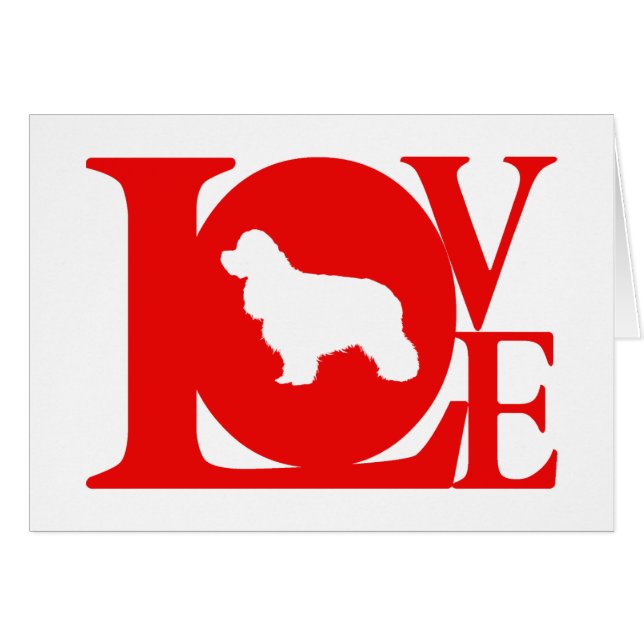 Amerikaanse Cocker Spaniel (Voorkant Horizontaal)