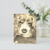 Amerikaanse Cocker Spaniel Briefkaart (Staand voorkant)