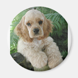 Amerikaanse Cocker Spaniel Dog en Green Fern Magneet