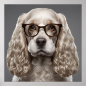 Amerikaanse Cocker Spaniel Poster (Voorkant)