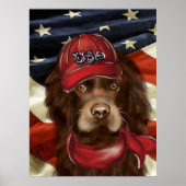 Amerikaanse Cocker Spaniel Poster (Voorkant)
