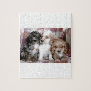 Amerikaanse Cocker Spaniel-Puppies Legpuzzel