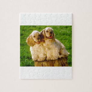 Amerikaanse Cocker Spaniel-Puppies op een pomp Legpuzzel