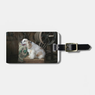 Amerikaanse cocker spaniel zittend bagagelabel
