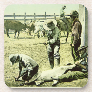 Amerikaanse cowboys branding a calf, c.1900 (foto) drankjes onderzetter