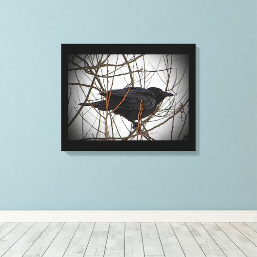 Amerikaanse Crow Canvas Afdruk (Insitu (Houten vloer))
