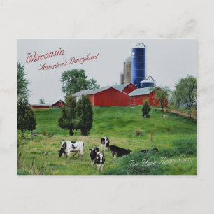 Amerikaanse Dairyland Briefkaart