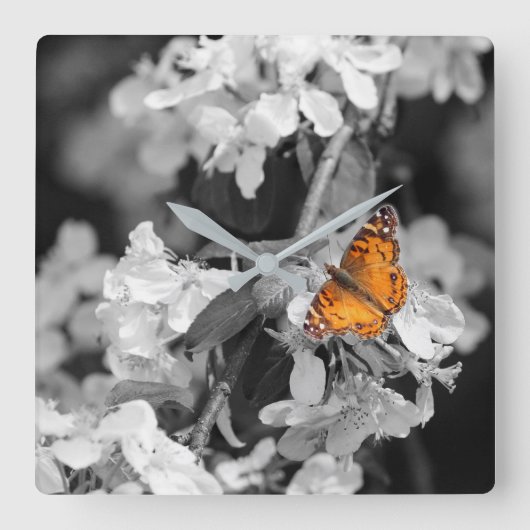 Amerikaanse dame Butterfly on Blossom Wall klok (Voorkant)