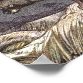 Amerikaanse dief van Louis Sargent,  dieren Poster (Hoek)