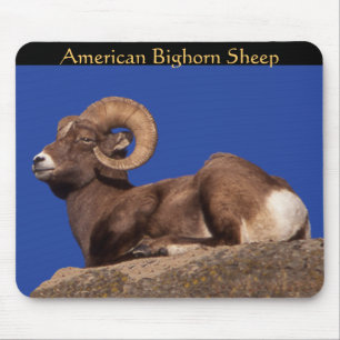 Amerikaanse dikhoornschaap Mousepad Muismat