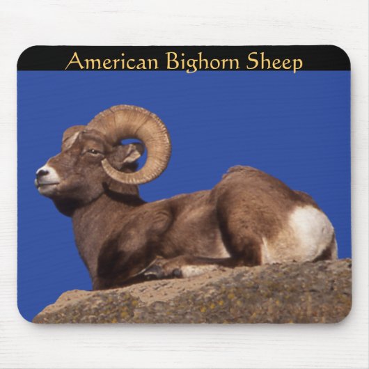 Amerikaanse dikhoornschaap Mousepad Muismat (Voorkant)