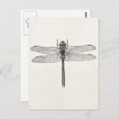  Amerikaanse dragonfly-Sjabloon Briefkaart (Voorkant / Achterkant)