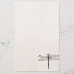 Amerikaanse dragonfly-Sjabloon Briefpapier