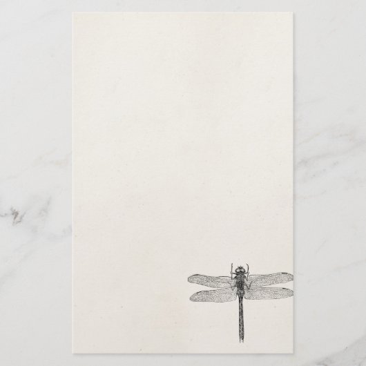 Amerikaanse dragonfly-Sjabloon Briefpapier (Voorkant)