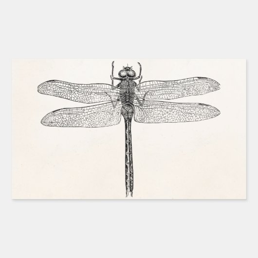 Amerikaanse dragonfly-Sjabloon Rechthoekige Sticker (Voorkant)