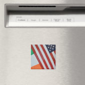 Amerikaanse en Ierse vlaggen Magneet (Insitu (Vaatwasser))