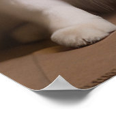 Amerikaanse Eskimo bij de open haard Kerstmis Poster (Hoek)