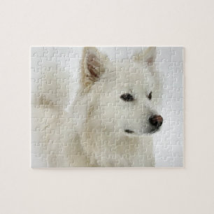Amerikaanse Eskimo Dog Art Legpuzzel
