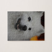 Amerikaanse Eskimo Dog Puzzle Legpuzzel (Horizontaal)