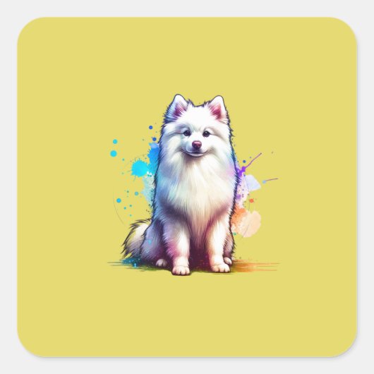 Amerikaanse Eskimo Dog Vierkante Sticker (Voorkant)
