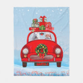 Amerikaanse eskimo-hond in auto met kerstman fleece deken (Voorkant)
