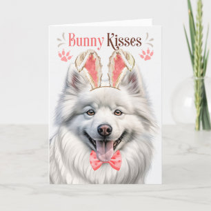 Amerikaanse Eskimo Hond in Bunny Oars voor Pasen Feestdagen Kaart