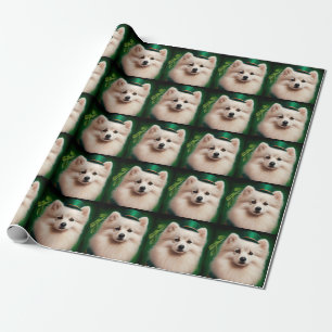 Amerikaanse Eskimo-hond in St. Patrick's Day Dress Cadeaupapier