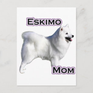 Amerikaanse Eskimo Hond Mam 4 Briefkaart