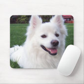 Amerikaanse Eskimo-hond Muismat (Met muis)