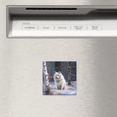 Amerikaanse Eskimo laat het sneeuwen Kerstmis Magneet (Insitu (Vaatwasser))