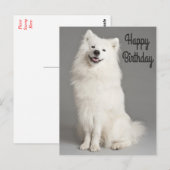 Amerikaanse Eskimo Puppy Dog Briefkaart (Voorkant / Achterkant)