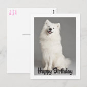 Amerikaanse Eskimo Puppy Dog Briefkaart (Voorkant / Achterkant)