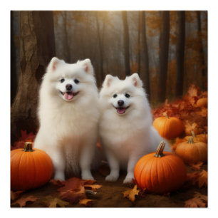 Amerikaanse Eskimo Puppy Herfst Plezier Pompoen Perfect Poster
