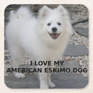Amerikaanse_Eskimohond_liefde met foto Vierkante Kartonnen Onderzetter