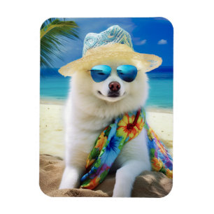 Amerikaanse Eskimohond op Strand,zomer cadeau voor Magneet