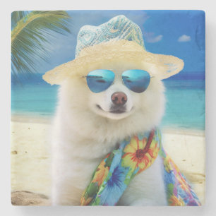 Amerikaanse Eskimohond op Strand,zomer cadeau voor Stenen Onderzetter