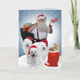 Amerikaanse Eskimo's Santa's Helpers kaarten