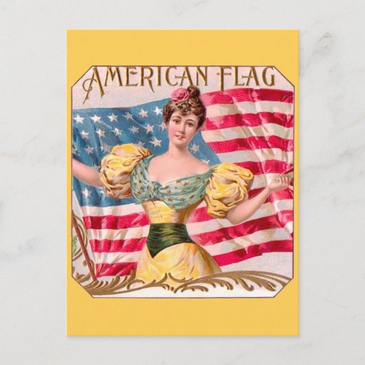 Amerikaanse Flag Lady Liberty Independence Briefkaart (Voorkant)