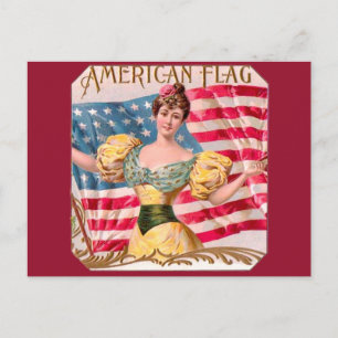 Amerikaanse Flag Lady Liberty Independence Briefkaart