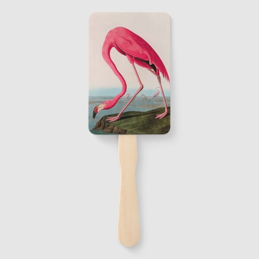 Amerikaanse Flamingo Birds of America Audubon Prin Handwaaier (Achterkant)