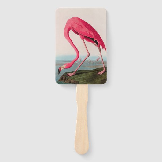 Amerikaanse Flamingo Birds of America Audubon Prin Handwaaier (Voorkant)