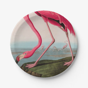 Amerikaanse Flamingo Birds of America Audubon Prin Papieren Bordje