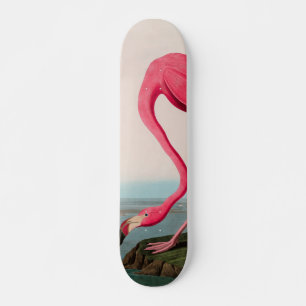 Amerikaanse Flamingo Birds of America Audubon Prin Skateboard