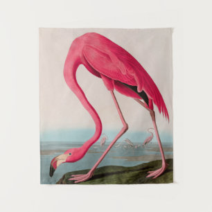 Amerikaanse Flamingo Birds of America Audubon Prin Wandkleed