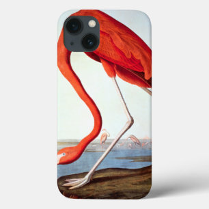 Amerikaanse Flamingo iPhone 13 Hoesje
