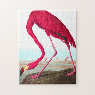 Amerikaanse Flamingo door John James Audubon Legpuzzel